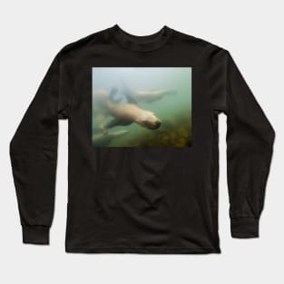 An Inquisitive Sea Lion Off the Shores of Vancouver Island Long Sleeve T-Shirt